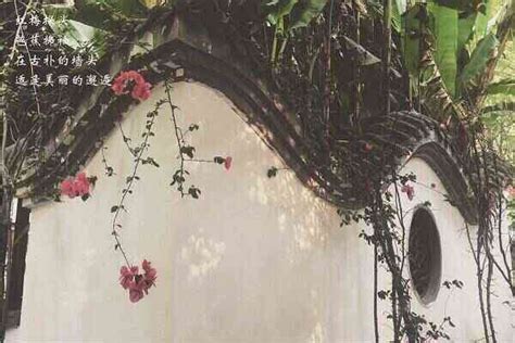 成都七中实验学校IEC国际教育中心美国高中课程