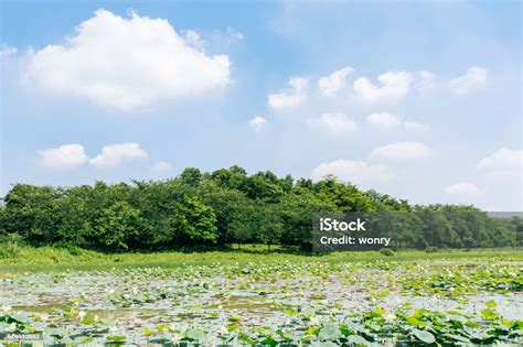 东莞曼彻斯通松山湖书院高中招生简章