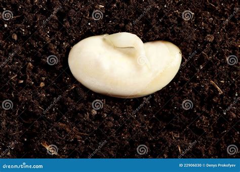 青苗朝阳现代城幼儿园