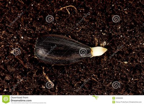 青苗昌平怡园幼儿园