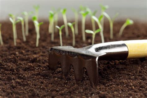 青苗蓝色港湾幼儿园