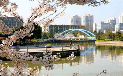 浙江大学法学专业（公司与金融法方向）在职研究生