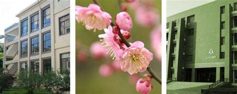 北京林业大学工商管理硕士(MBA)招生简章