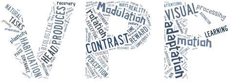 中科院心理研究所社会心理学应用专业高级课程研修班