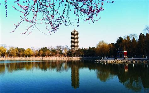 北京大学与英国温布尔大学合作办学工商管理硕士课程研修班