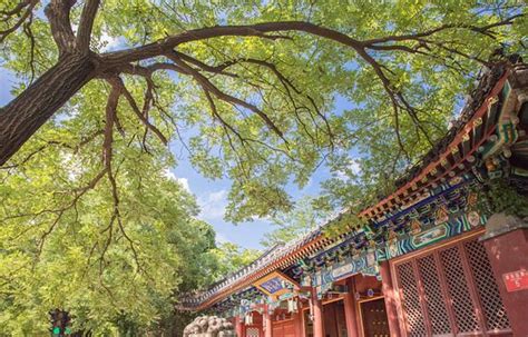 北京大学管理科学与工程专业（项目管理方向）在职课程班