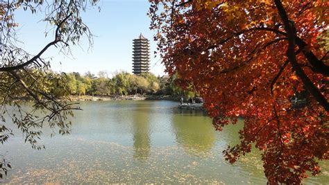 北京大学管理科学与工程专业(风险管理方向)在职课程班