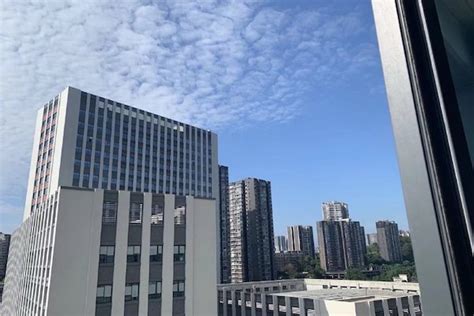 四川大学IT项目管理工程硕士课程进修班