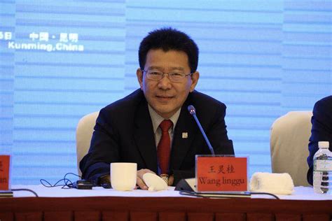 中国社会科学院金融学专业-金融工程与风险管理方向课程班