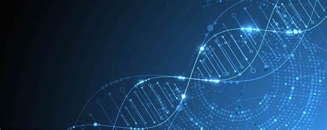 中国社会科学院金融学专业-金融投资与证券实务方向在职课程班