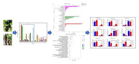 江苏科技大学生物技术学院资源利用与植物保护硕士招生简章