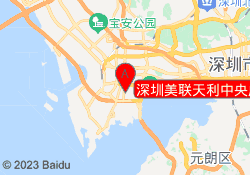深圳美联天利中央广场中心