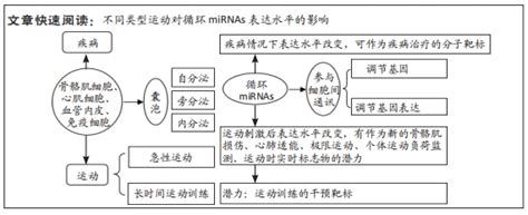 江西科技师范大学体育学院体育硕士招生简章