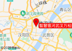 智慧银河武汉万松园校区