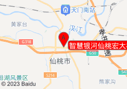 智慧银河仙桃宏大校区