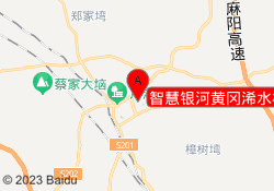 智慧银河黄冈浠水校区