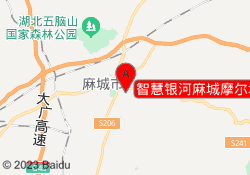 智慧银河麻城摩尔城校区