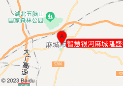 智慧银河麻城隆盛名城
