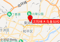 沈阳啄木鸟皇姑校区