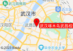 武汉啄木鸟武昌校区