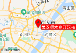 武汉啄木鸟江汉校区