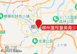 柳州童程童美青少年编程培训课程