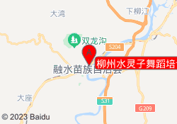 柳州水灵子舞蹈培训