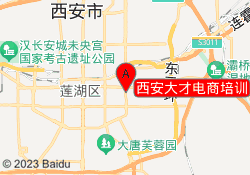西安大才电商培训