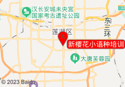 新樱花小语种培训