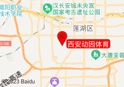 西安动因体育
