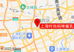 上海时尚妈咪催乳师培训