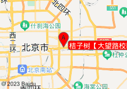 桔子树【大望路校区】