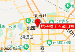 桔子树【五道口校区】