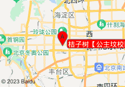 桔子树【公主坟校区】