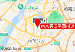 南京聂卫平围棋道场新街口校区