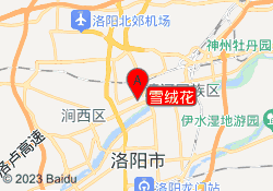 雪绒花