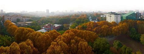 华中师范大学应用心理学（学校心理学方向）在职研究生