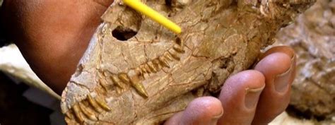 东华理工大学地质资源与地质工程专业在职课程研修班招生简章