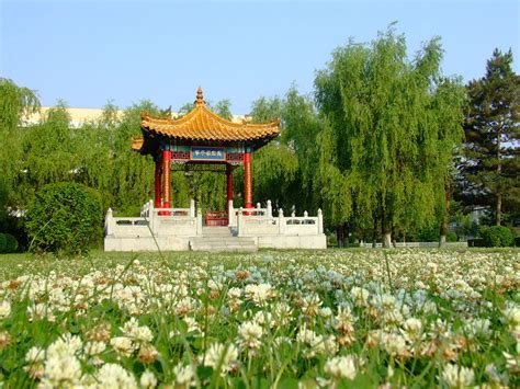 长春理工大学计算机科学技术学院电子信息（计算机技术）硕士非全日制研究生招生简章