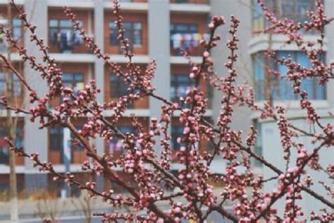大连理工大学经济管理学院工程管理硕士（MEM）非全日制研究生招生简章