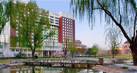 对外经济贸易大学税务硕士全日制研究生招生简章