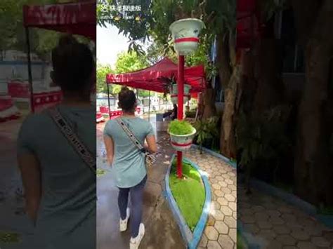 厦门岷厦国际学校IB课程