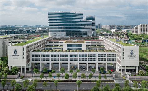 北京哈罗国际学校高中部及毕业班