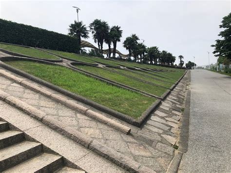 上海金山杭州湾双语学校招生简章