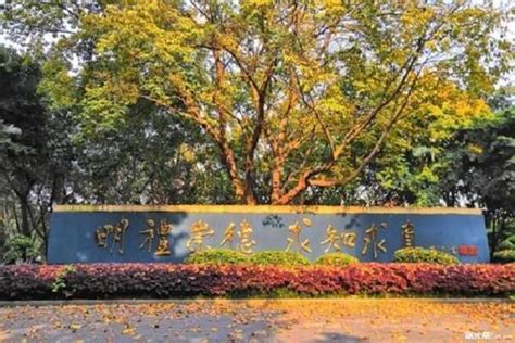重庆八中国际部高中AP课程