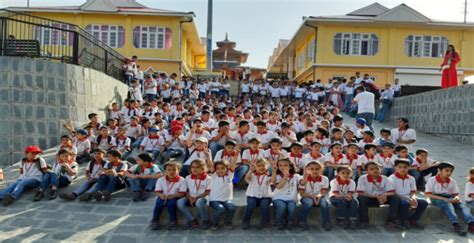 常春藤国际学校国际幼儿园课程