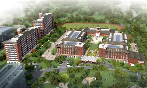 【深圳贝赛思国际学校】国际高中