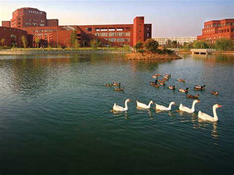 江西师大附中中美国际班SAT课程