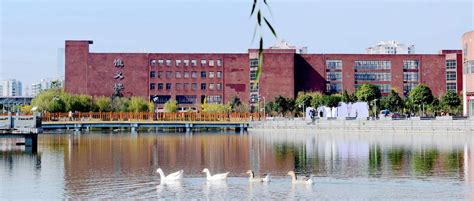 江西师大附中中美国际班AP课程