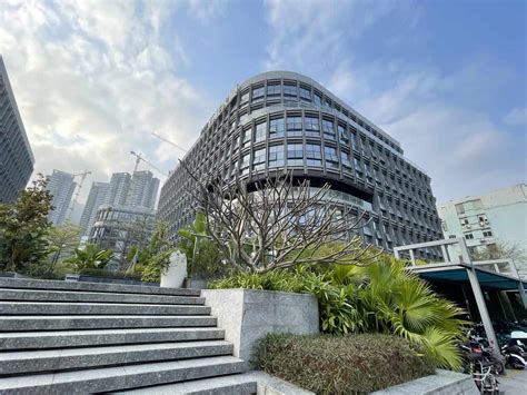 蛇口国际学校小学中英双语课程